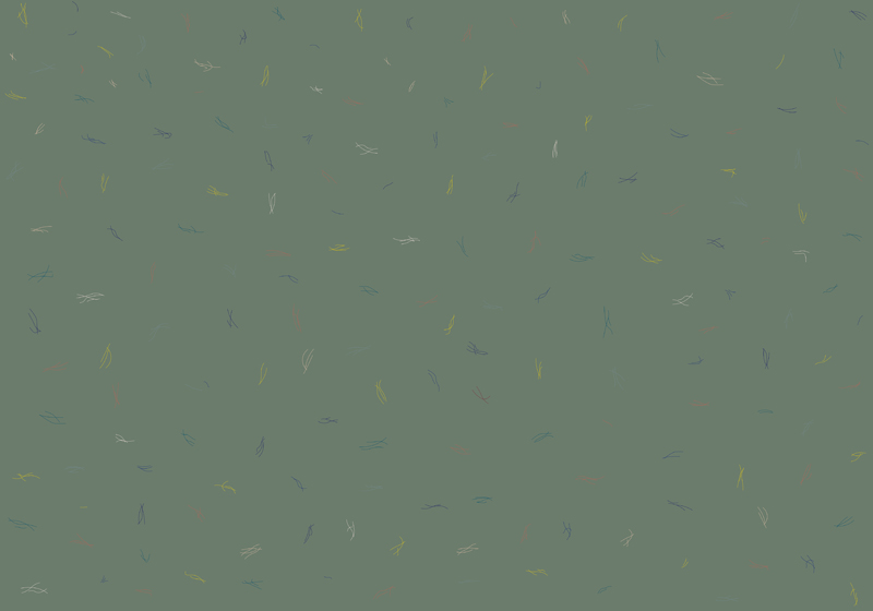 40th Anniversary 8000019